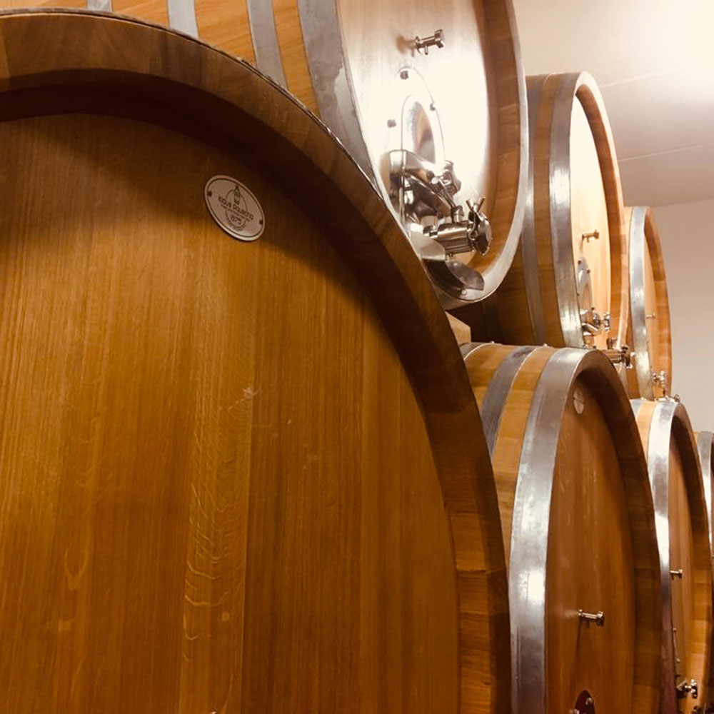wine activities Stainless steel tank, barrique and casks